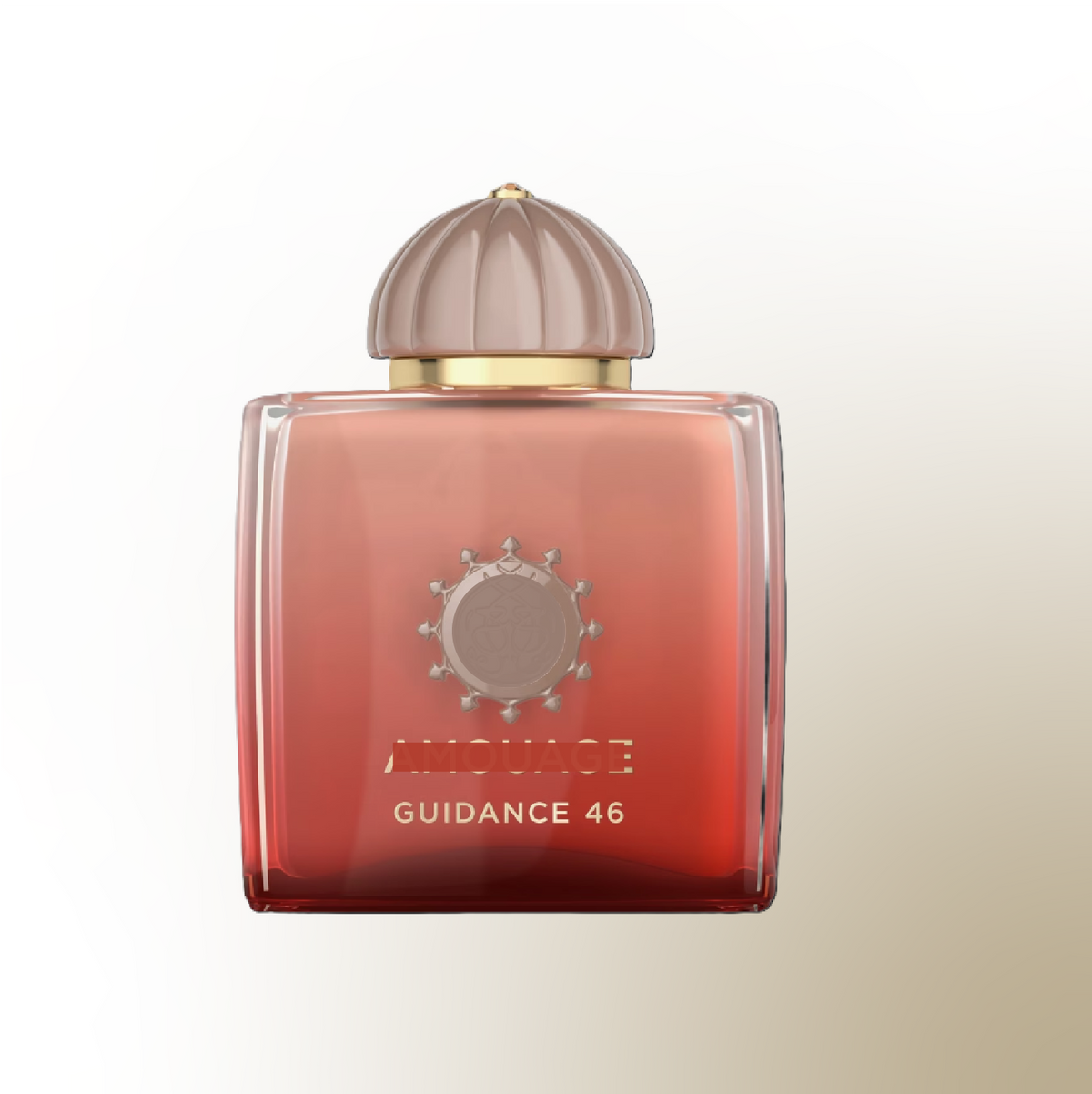 AM*UAGE - GUIDANCE 46