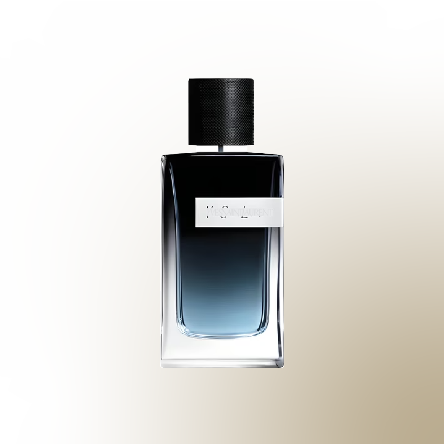 Y*S*L- Y EDP