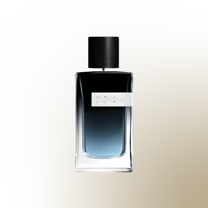 Y*S*L- Y EDP